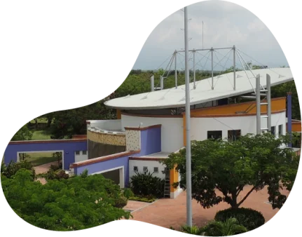 Los Olivos Cementerio Ibague