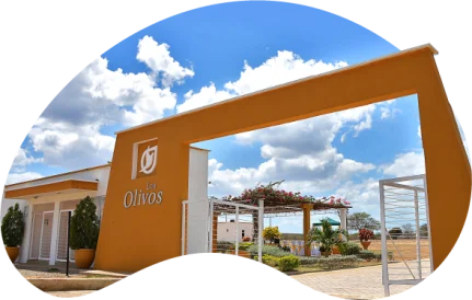 Los Olivos Cementerio Guajira