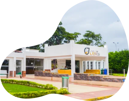 Los Olivos Cementerio Cucuta
