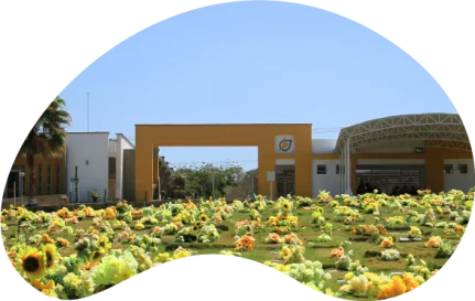 Los Olivos Cementerio Barranquilla