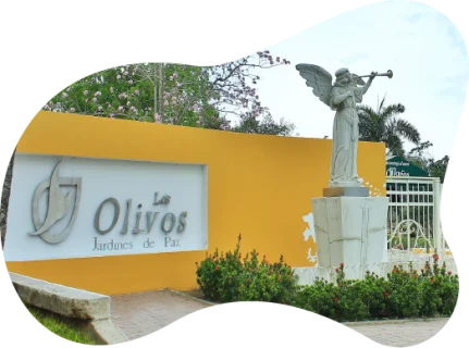 Los Olivos Cementerio Cartagena