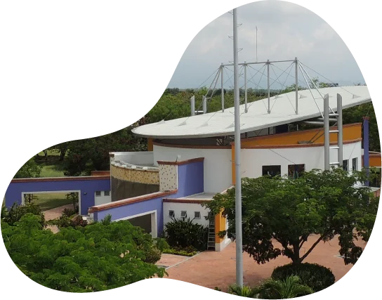 Los Olivos Cementerio Ibague