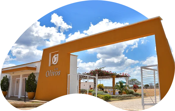 Los Olivos Cementerio Guajira