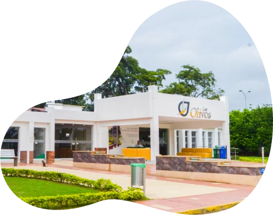 Los Olivos Cementerio Cucuta