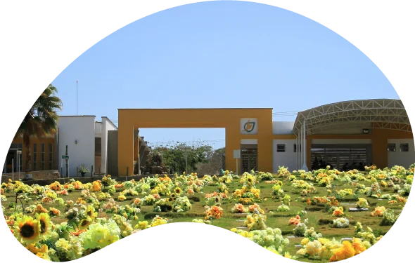 Los Olivos Cementerio Barranquilla