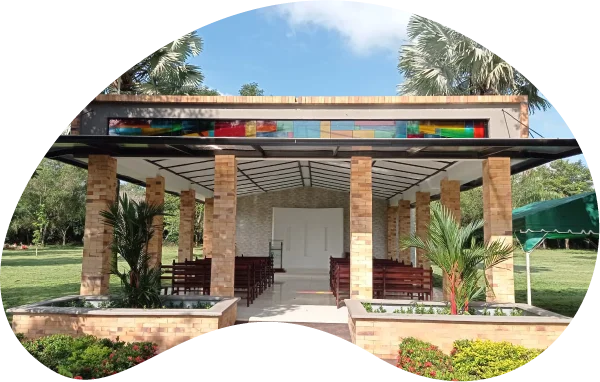 Los Olivos Cementerio Guaviare