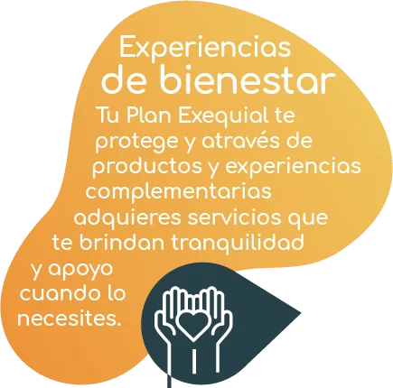 Los Olivos Mas vida para ti 02